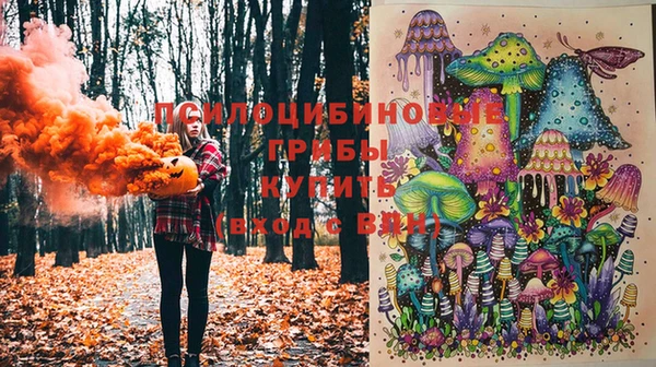 спайс Белокуриха