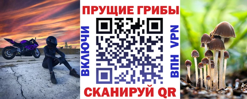 Псилоцибиновые грибы MAGIC MUSHROOMS Межгорье